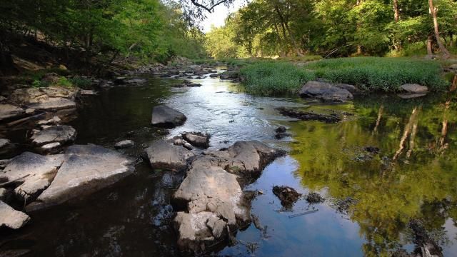 Eno River State Park - Few's Ford