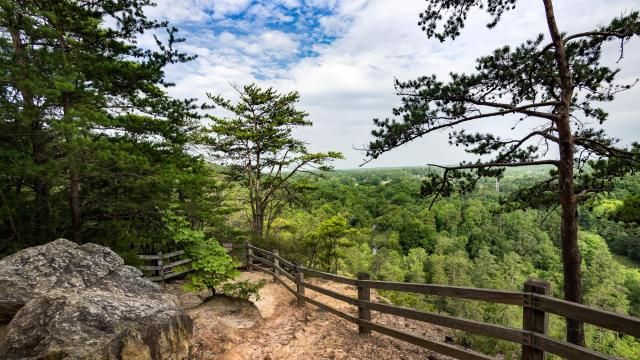 Occoneechee Mountain State Natural Area