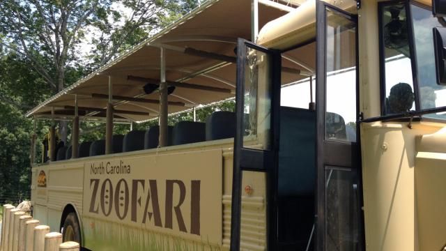 Zoofari at the N.C. Zoo