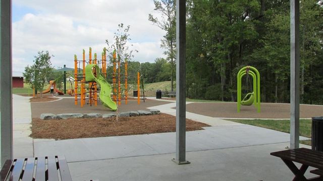 Carolina Panthers Park Bench