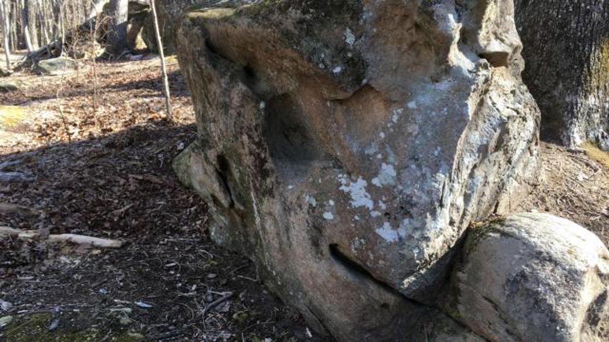Destination: Hidden Rocks Trail at Wilkerson Nature Preserve, Raleigh