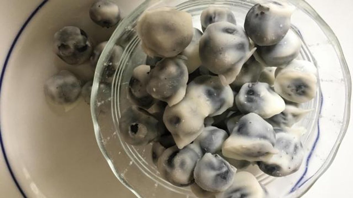 Frozen blueberry bites