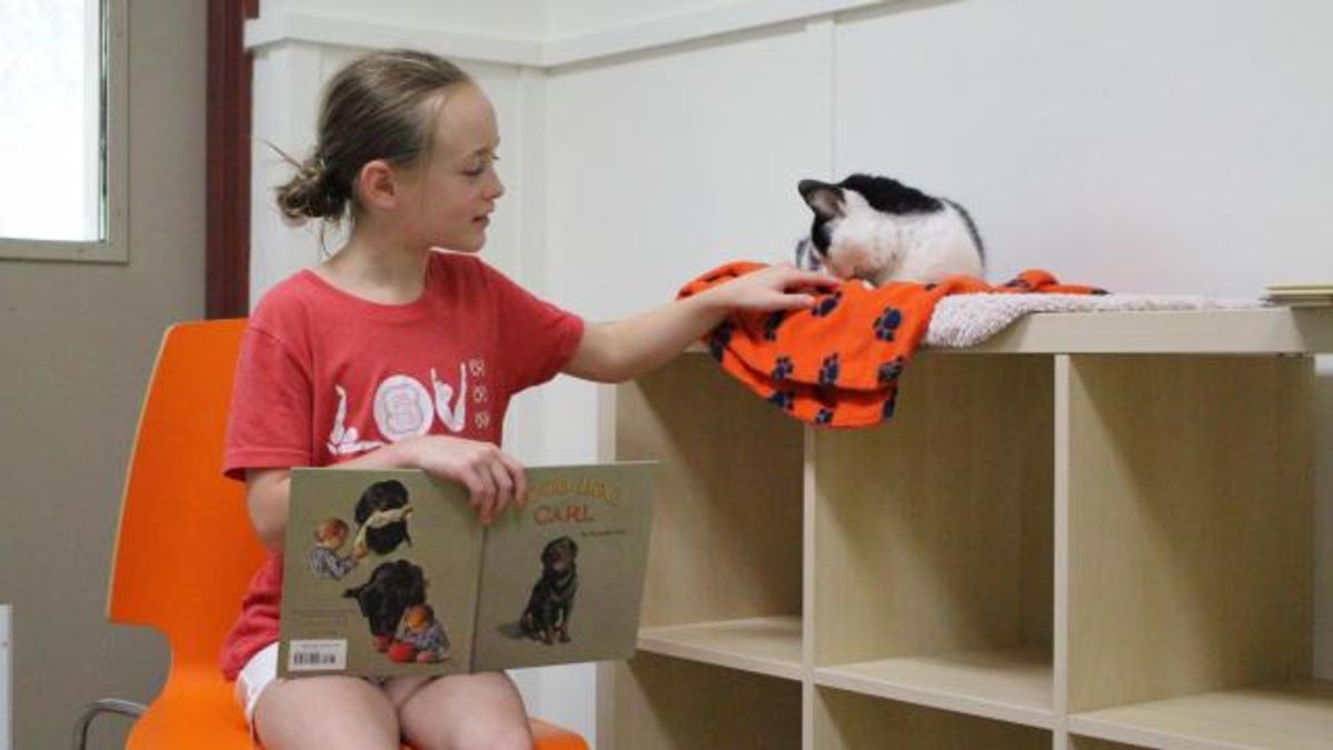 Cat Tales 2017 at SPCA of Wake County