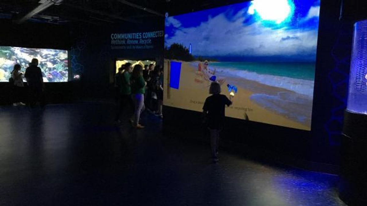 Expanded Wiseman Aquarium at Greensboro Science Center