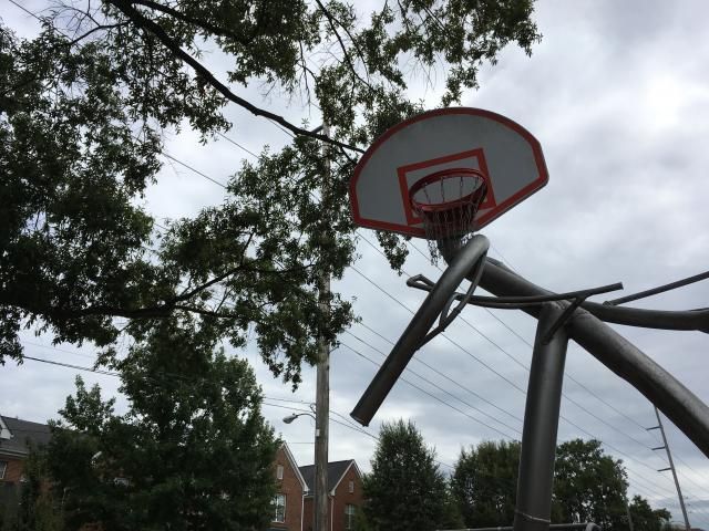 Hoops Playing Hoops at Halifax Park Playground