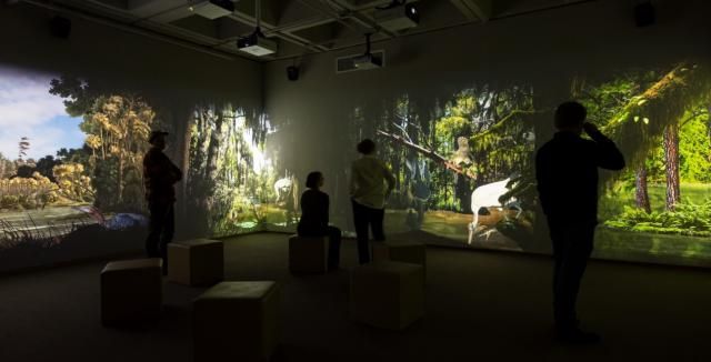 The Audubon Experience at the N.C. Museum of Art