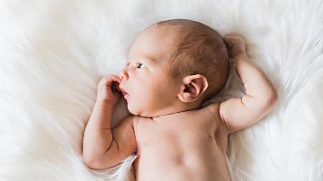 Newborn
