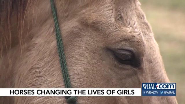 Horses change lives for at-risk girls