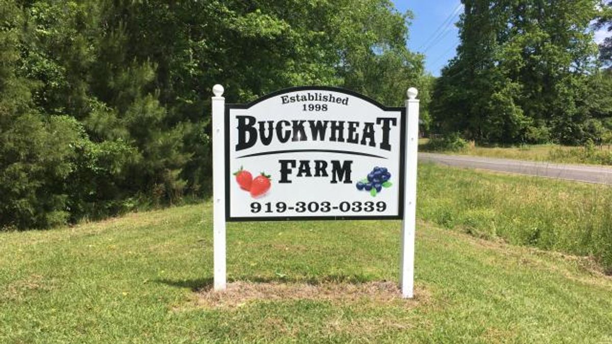 Buckwheat Farm, Apex