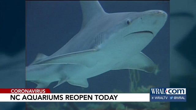 NC Aquariums reopen Monday
