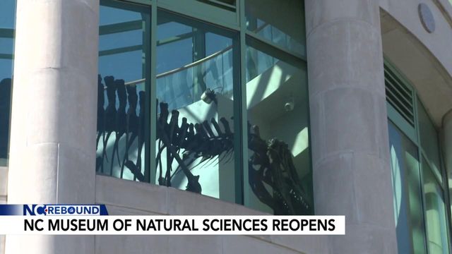 NC Museum of Natural Sciences reopens after 6 months