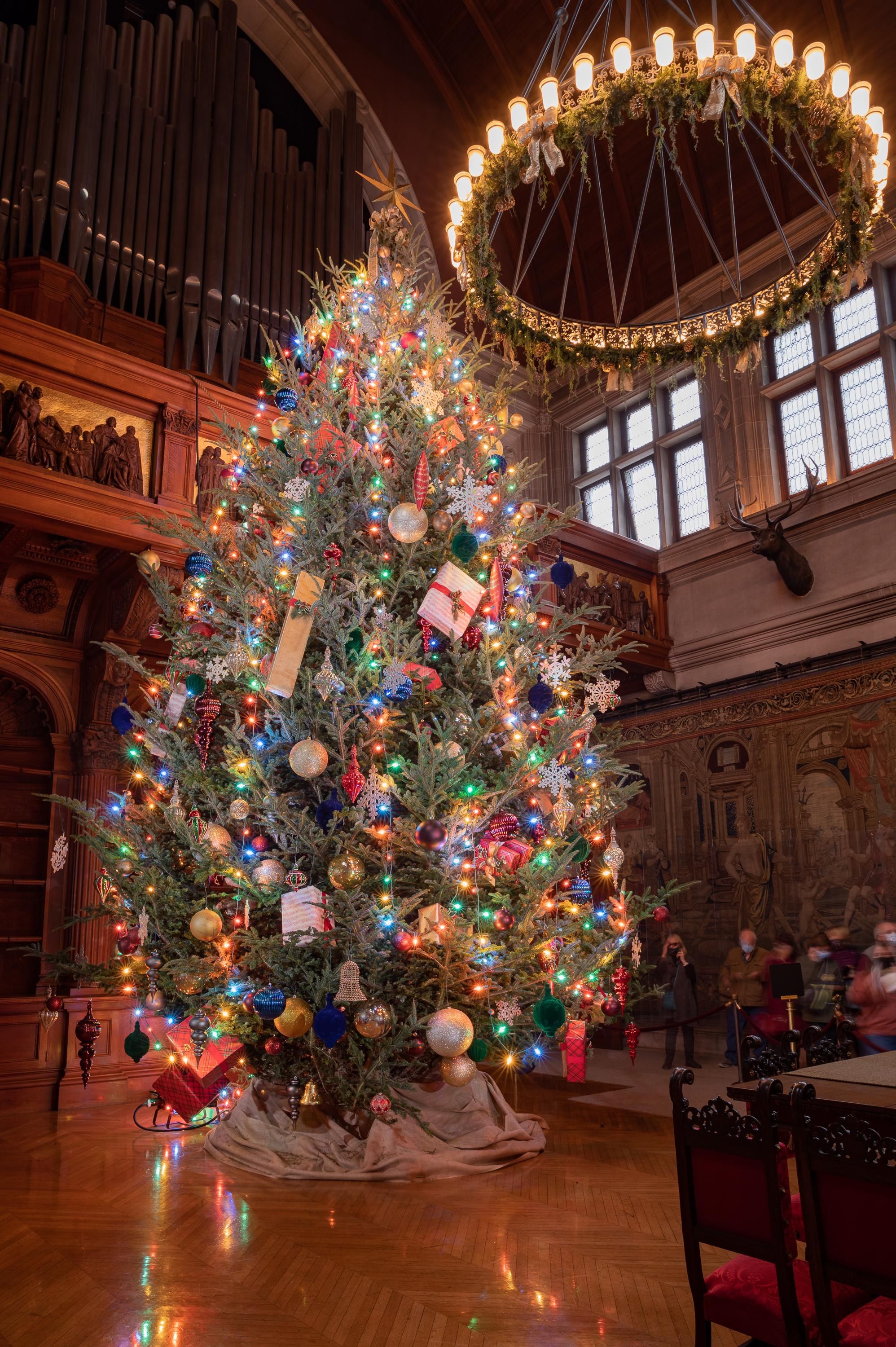 Extras wanted: Hallmark Christmas movie begins filming in Asheville in January