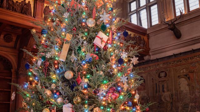Hallmark looking for extras for Christmas movie shooting at Biltmore