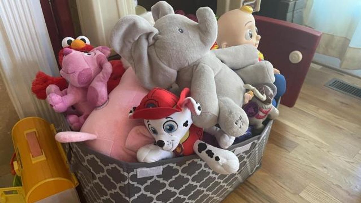 Toy clutter