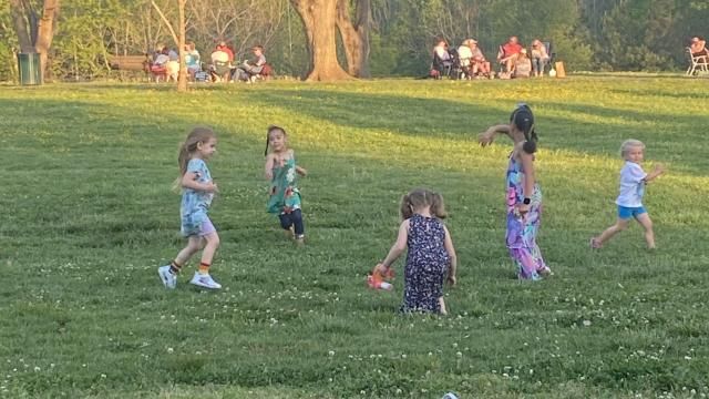 Summer fun