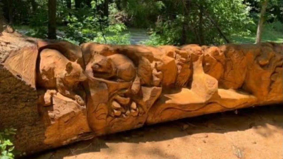  Durant Nature Park