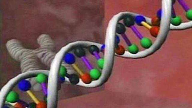 DNA May Provide Clues to Cause of Autism