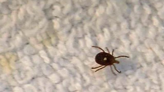 Battling ticks and the illness they bring