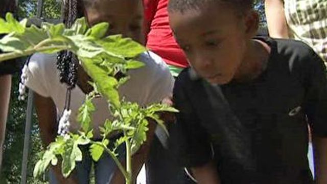 Gardening can be good activity for children