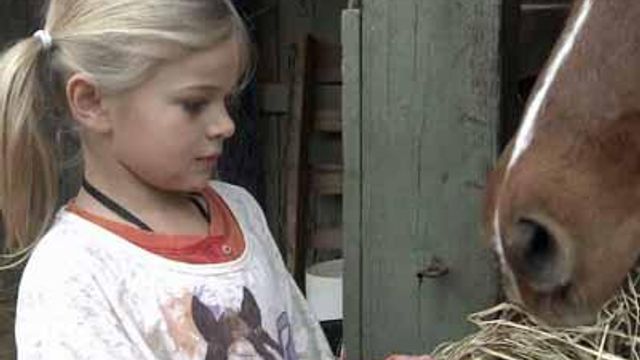Child works to overcome rare blood disorder