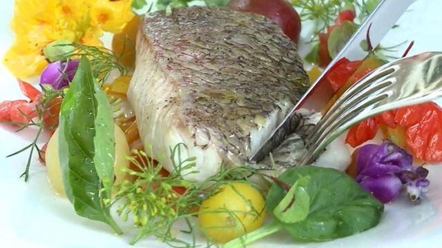 Herons chef makes snapper with peppers and tomatoes