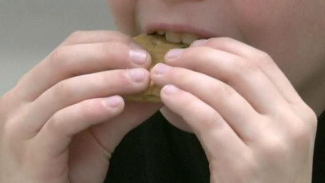 Researchers look for ways to cure peanut allergy