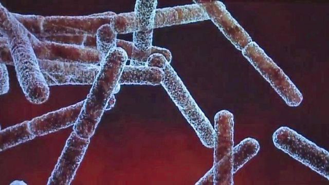 Local company works to find cure for superbugs 