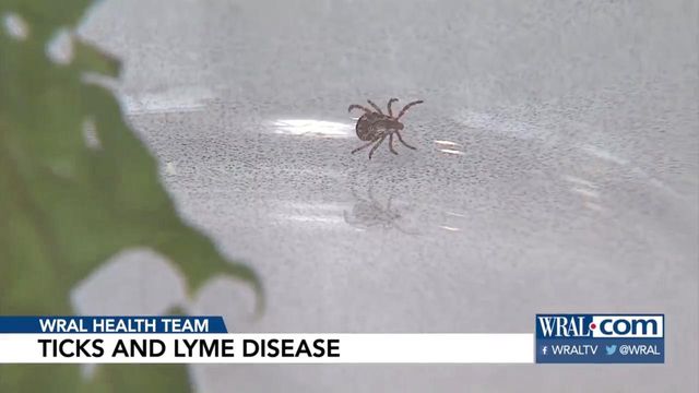 Perform head-to-toe check for ticks to mitigate Lyme disease risk
