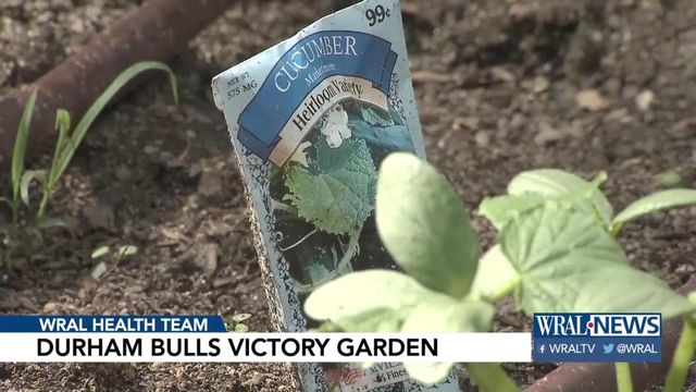 Durham Bulls' Victory Garden to add veggies to game day experience