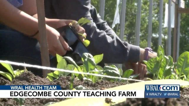 Edgecombe students eat what they grow at learning farm