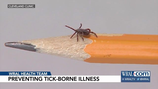 3 ways to avoid tick bites this summer