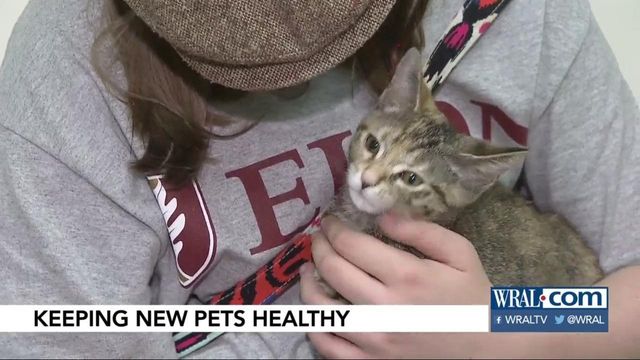 Clear the Shelters: what vaccinations your new pet will need