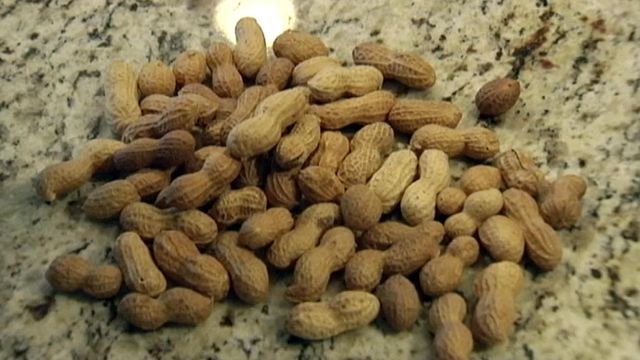 Study shows peanut allergy treatment works for toddlers 
