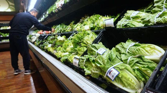 CDC, FDA declare lettuce safe to eat and e.coli outbreak over