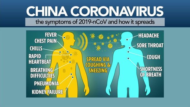 Understanding the coronavirus