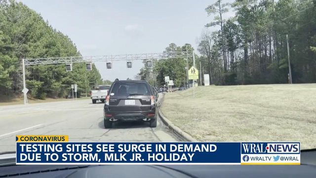 Storm's aftermath, MLK holiday add to delays for those seeking a COVID test