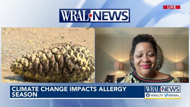 A look at how pollen impacts allergy season