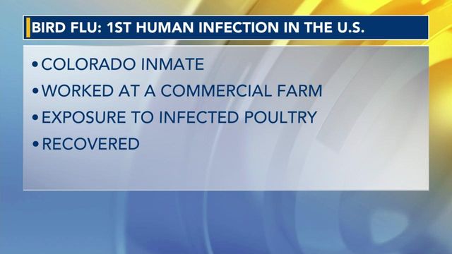 Bird flu: First human infection of new strain reported in the US