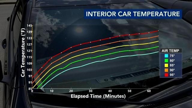 Inside of hot car can become deadly in a matter of minutes :: WRAL.com