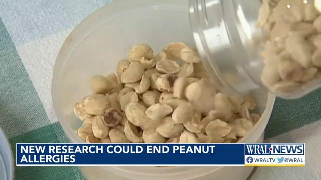 New research could end peanut allergies