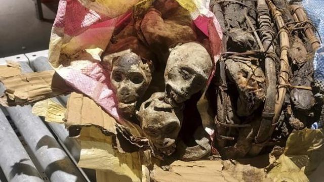 EDS NOTE: GRAPHIC CONTENT - This undated photo shows the mummified remains of four monkeys discovered and seized from luggage from a traveler who'd been to the Democratic Republic of Congo before arriving at Boston Logan Airport. (Customs and Border Protection via AP) EDS NOTE: GRAPHIC CONTENT - This undated photo shows the mummified remains of four monkeys discovered and seized from luggage from a traveler who'd been to the Democratic Republic of Congo before arriving at Boston Logan Airport. (Customs and Border Protection via AP)