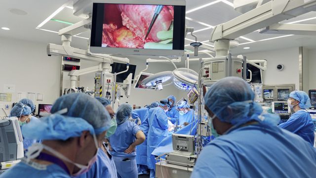 Pig kidney transplant saves woman's life