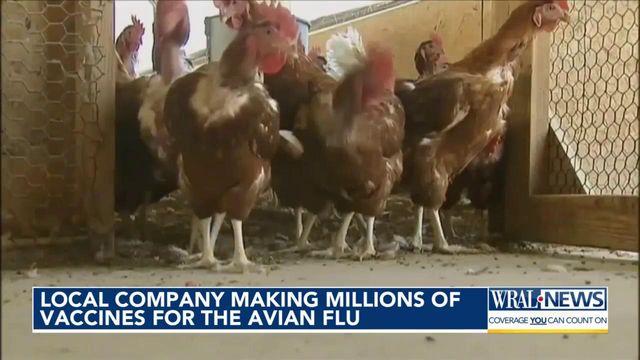 Simply in case, Holly Springs maker churning out fowl flu vaccines Simply in case, Holly Springs maker churning out fowl flu vaccines