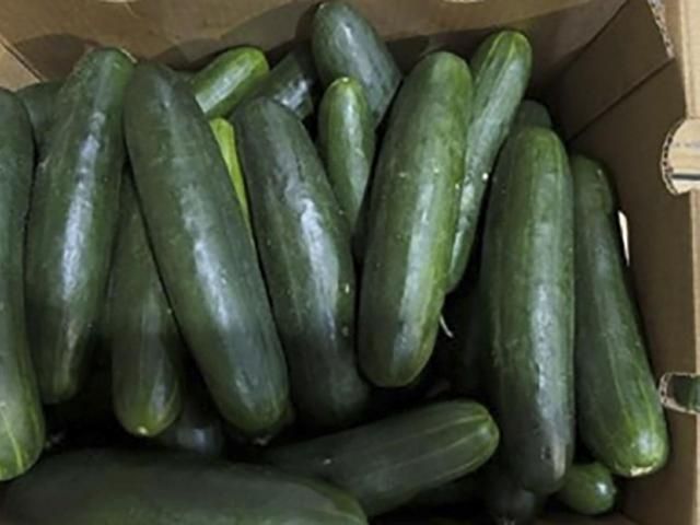 Dozens sickened in expanding salmonella outbreak linked to recalled cucumbers