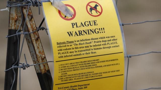 FILE - A sign warning of bubonic plague is displayed at a parking lot near the Rocky Mountain Arsenal Wildlife Refuge in Commerce City, Colo., Aug. 10, 2019. (AP Photo/David Zalubowski, File)