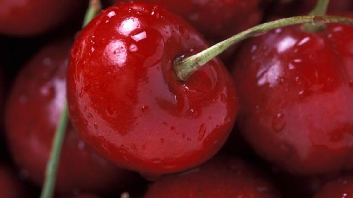 bing cherries