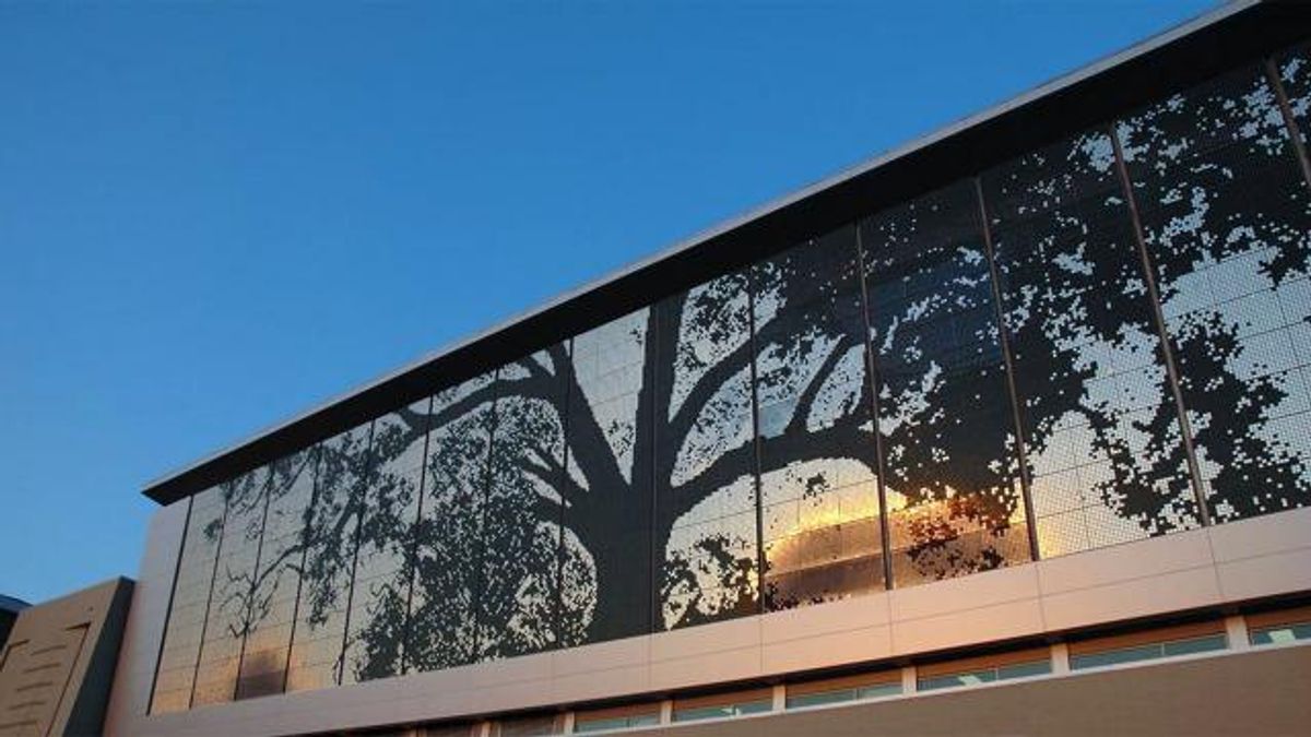 Cree Shimmer Wall