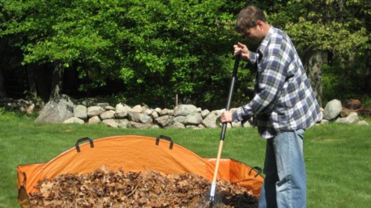 Smart tips to make fall lawn care easier