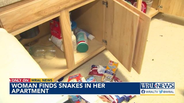 Fayetteville woman finds snakes in her apartment