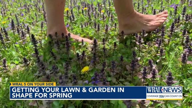 Get lawn and garden in spring shape